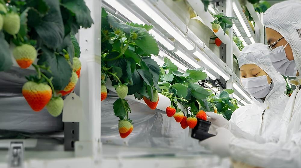 imgi_8_9HRAJFKYHJ71(1)