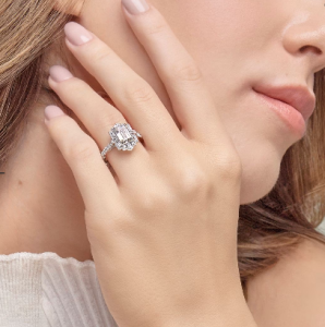 nostalgia collection