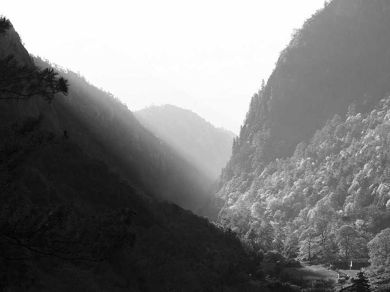 这是一个随机生成的测试图片