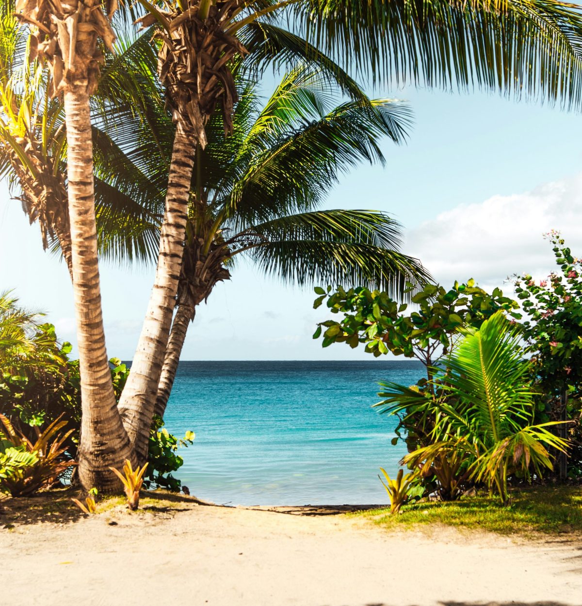 matthew-brodeur-DH_u2aV3nGM-unsplash